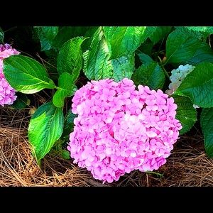 Meet your Posher, Marty